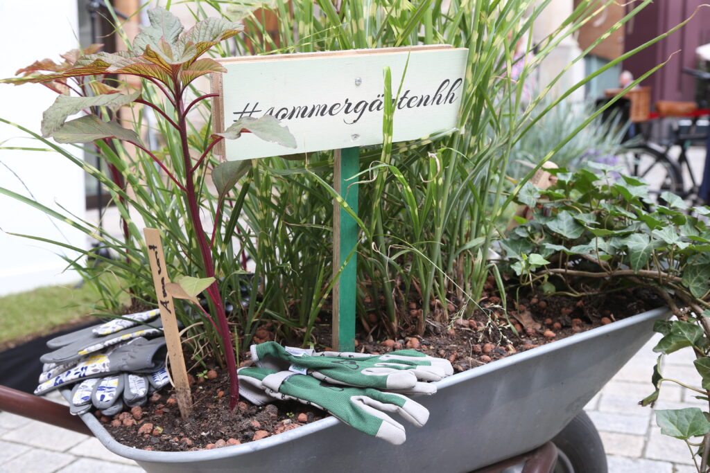 Kommunikationshafen_HamburgsSommergärten_10